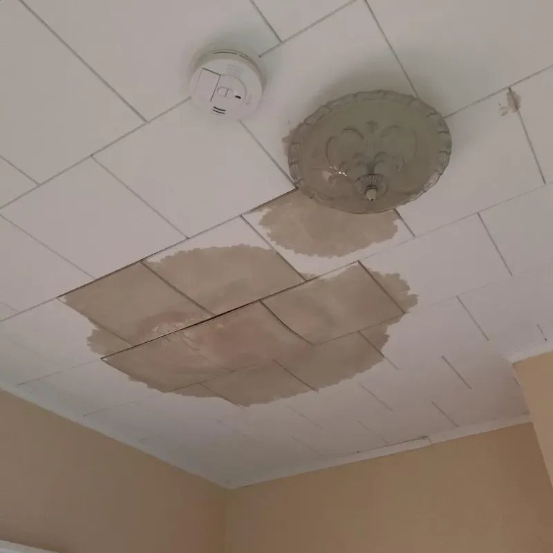 Ceiling Water Damage Repair in Gideon, MO