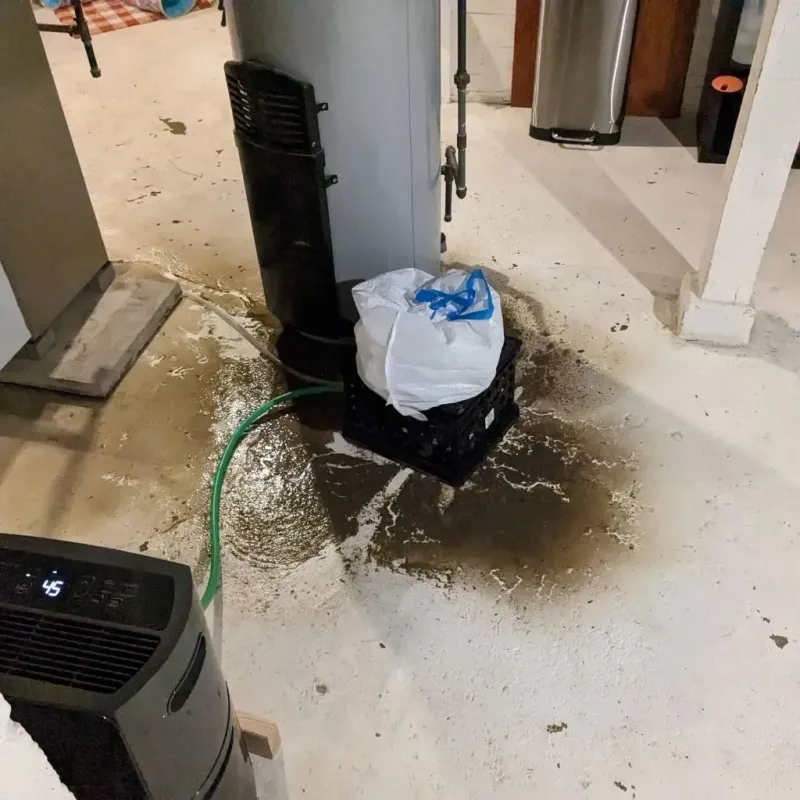 Sewage Backup Cleanup Service in Gideon, MO